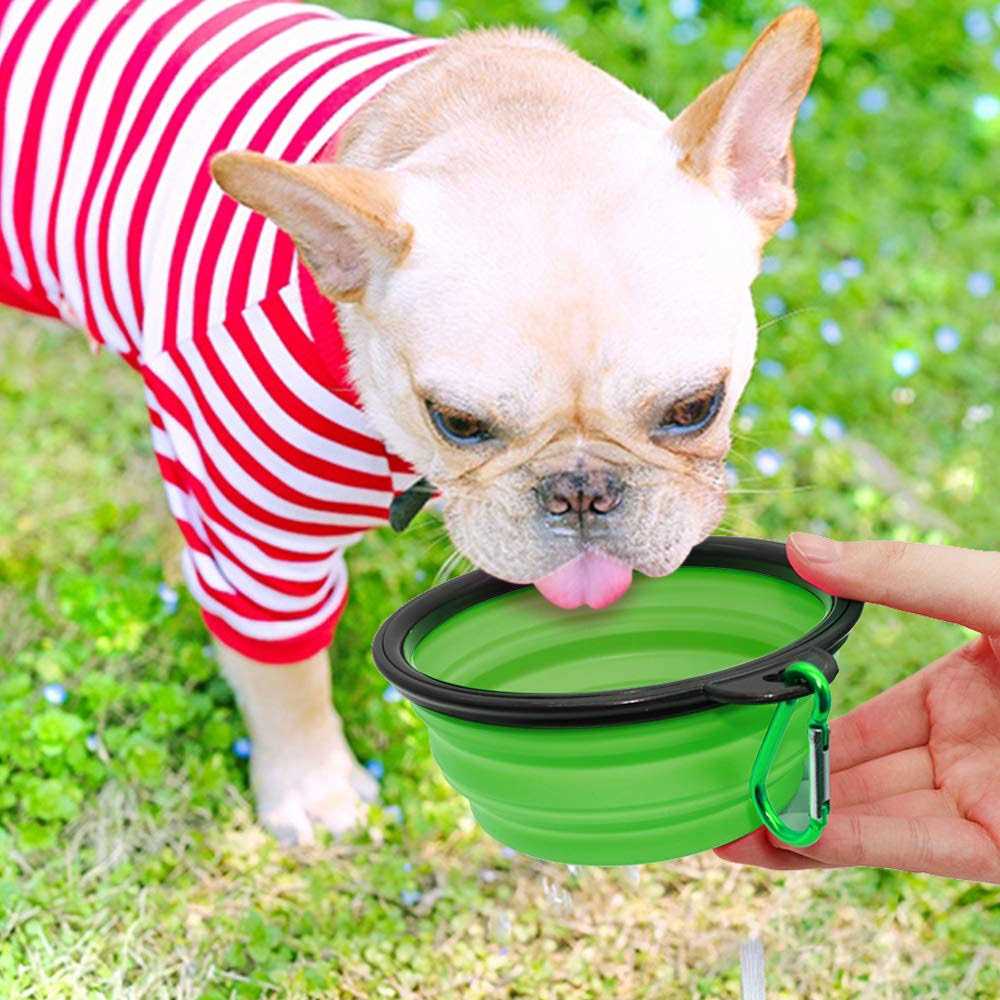 Collapsible Dog Bowl 2 Pack C506238