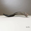 Shofar Yemenite V4732