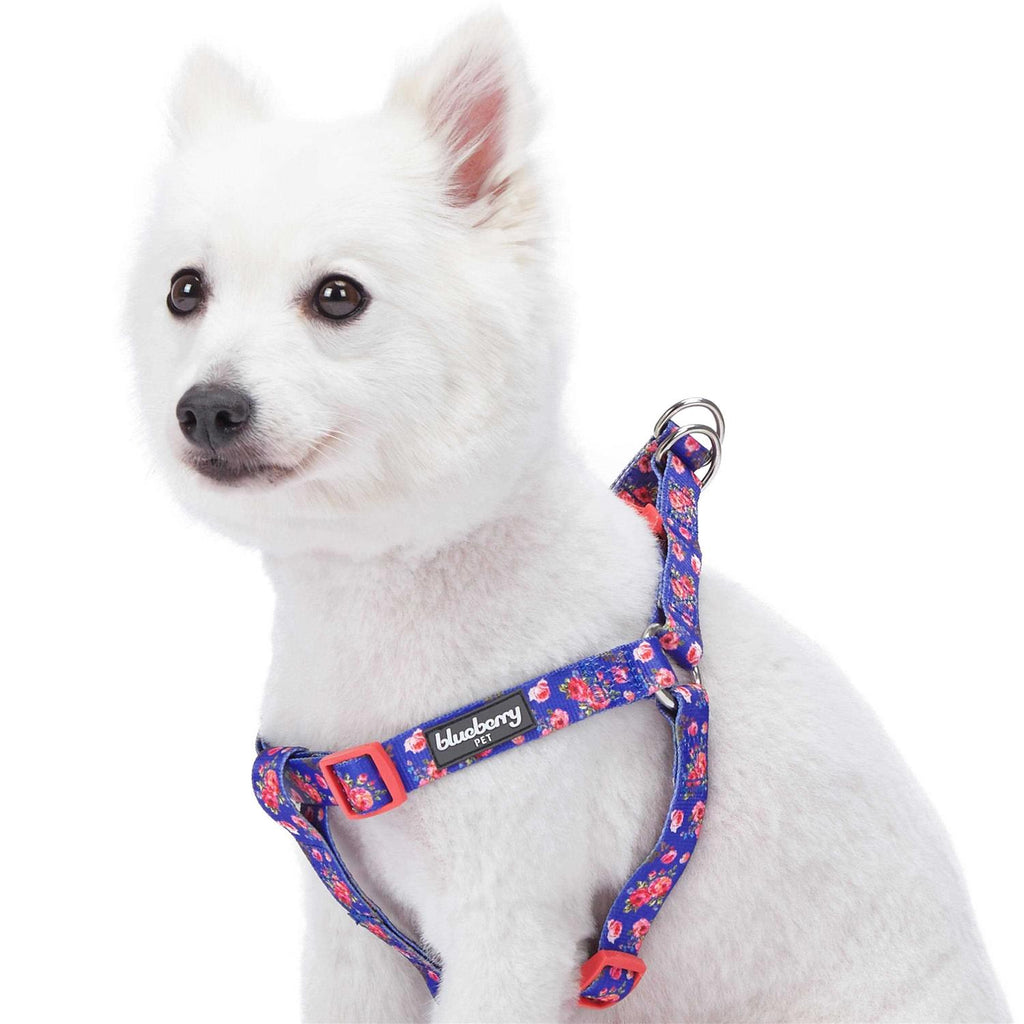 Step Dog Harness C74703