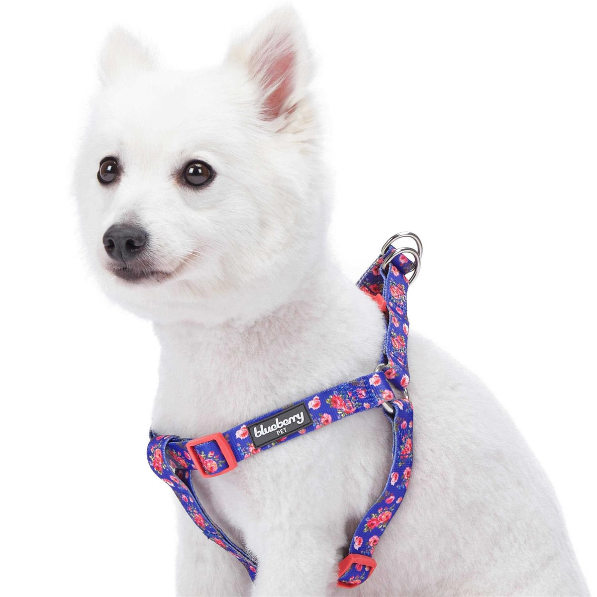 Step Dog Harness C74703