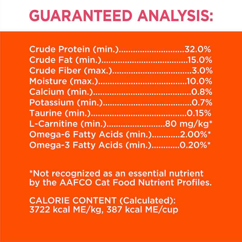 Salmon Adult Dry Cat Food A2868