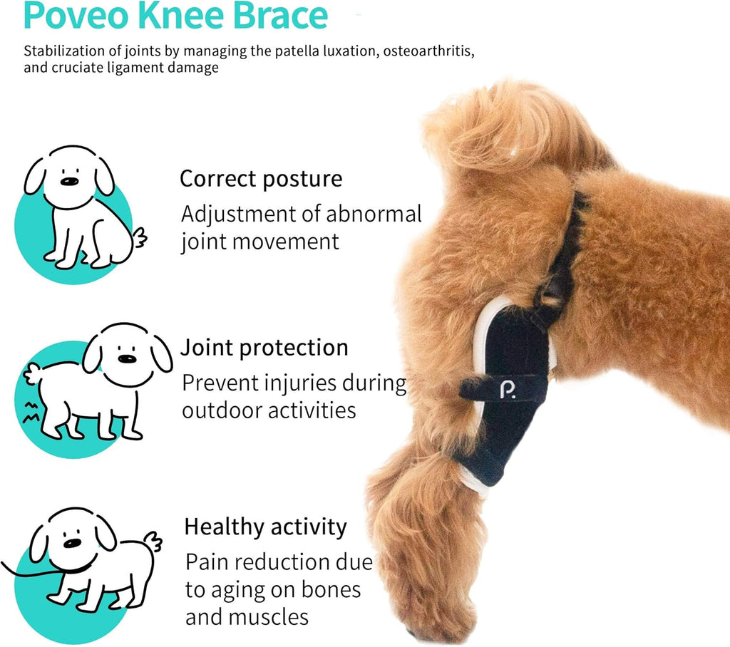 Neoprene Dog Knee Brace with Patella Tracker M262