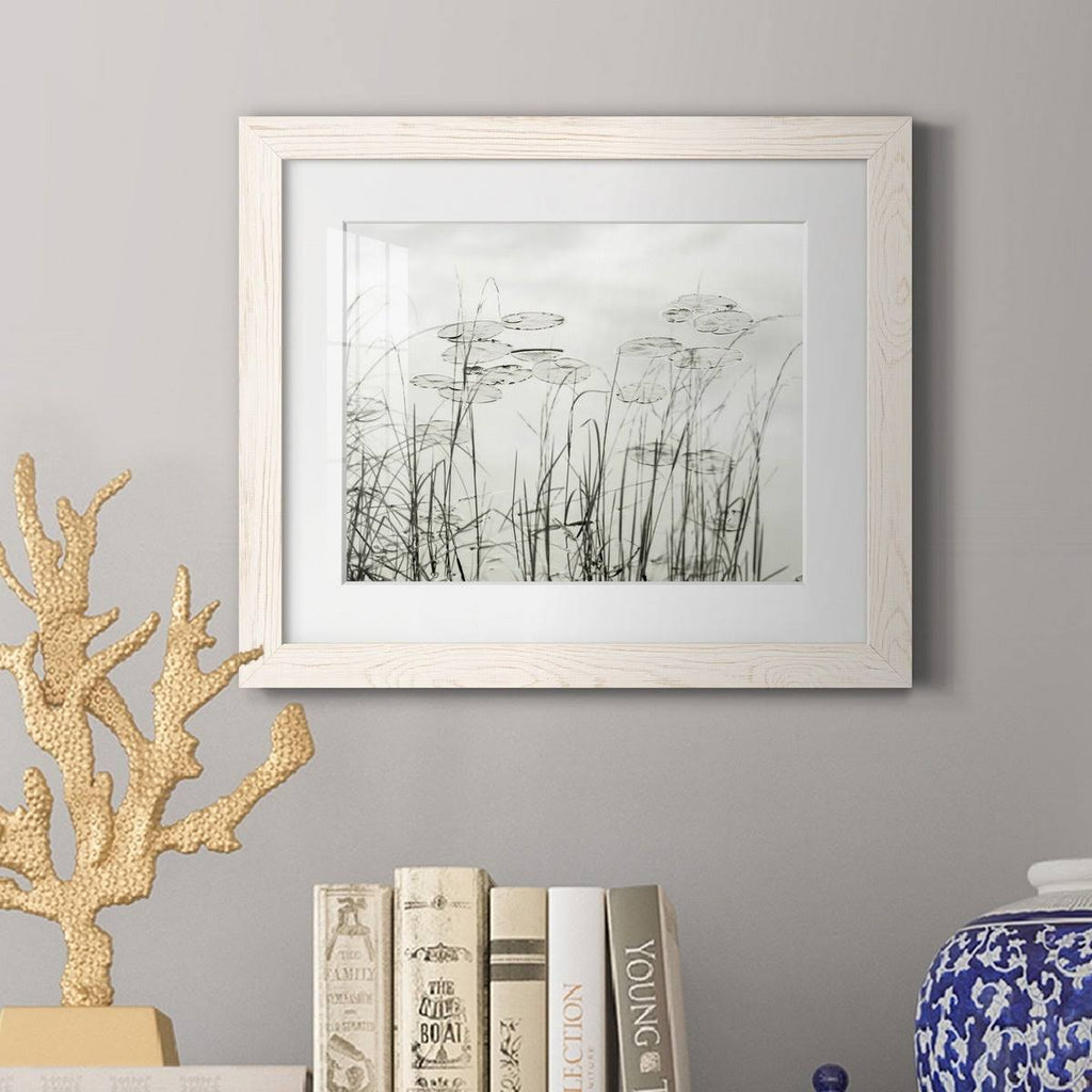 Maple Framed Print S285918