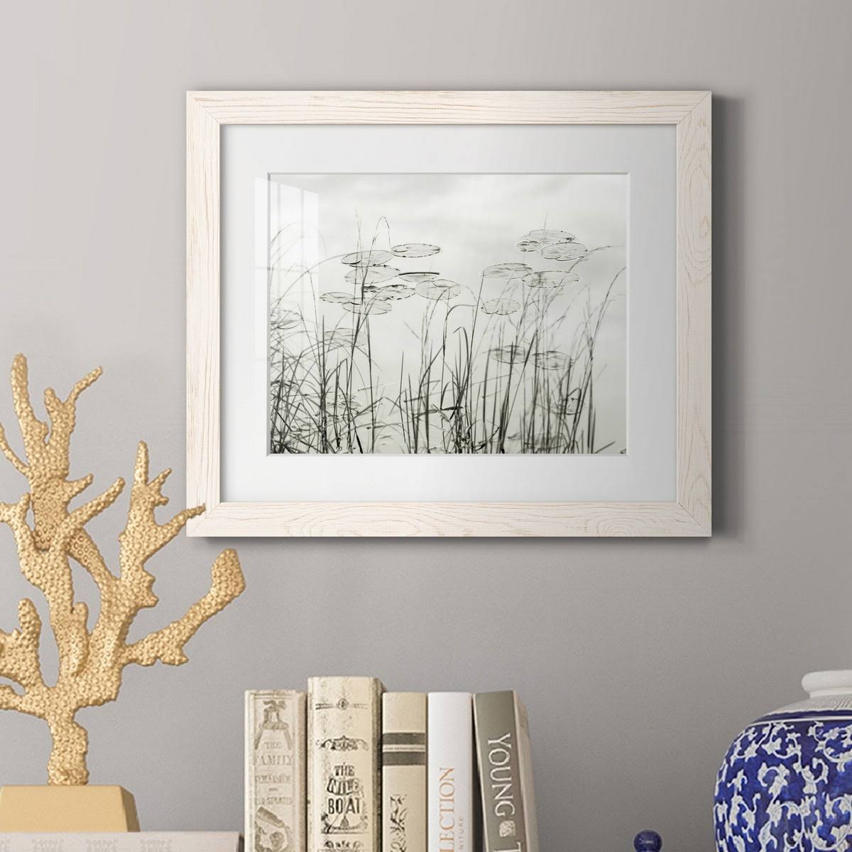 Maple Framed Print S285918