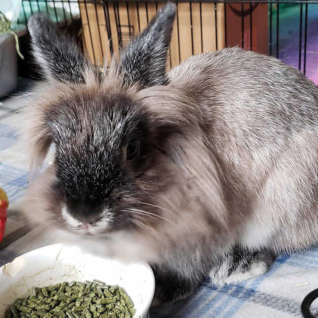 Timothy Rabbit Food H37627