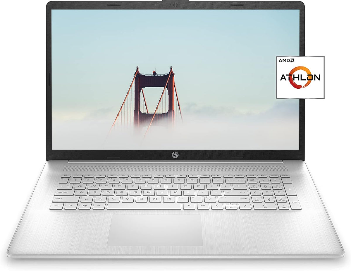 17.3-inch HD+ Display Laptop D491