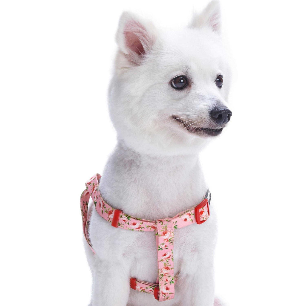 Step Dog Harness C74703