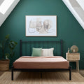 Black Metal Queen Platform Bed B54393