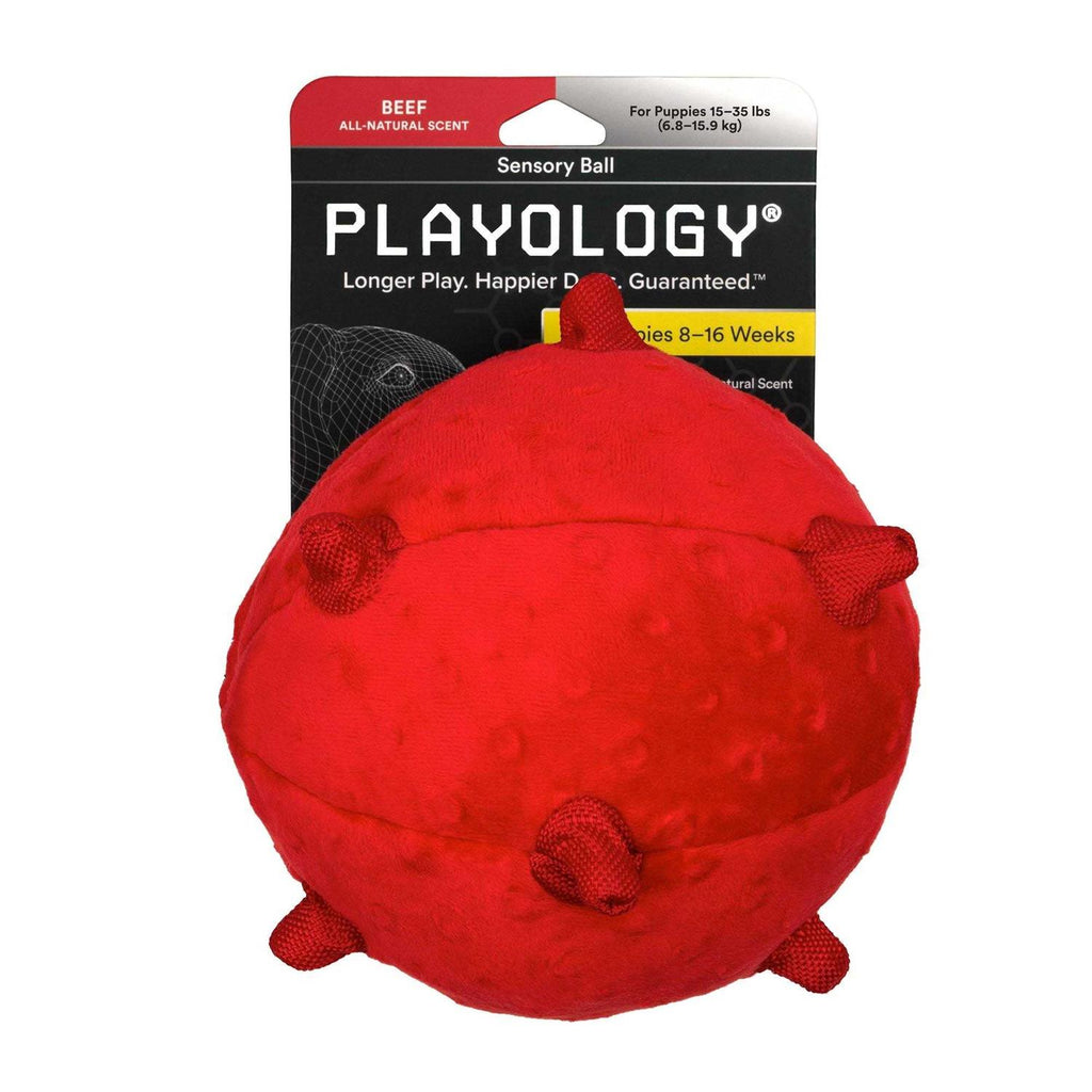 Sensory Ball Dog Toy K859976