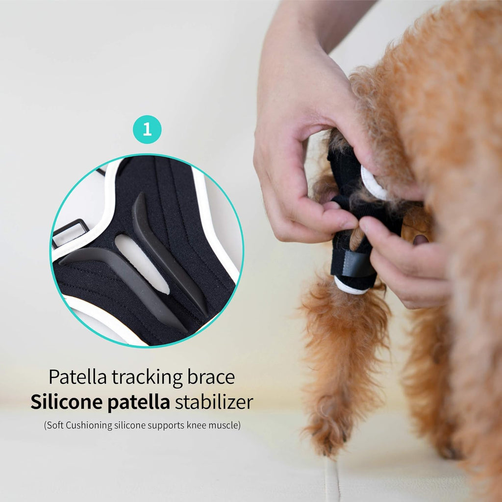 Neoprene Dog Knee Brace with Patella Tracker M262