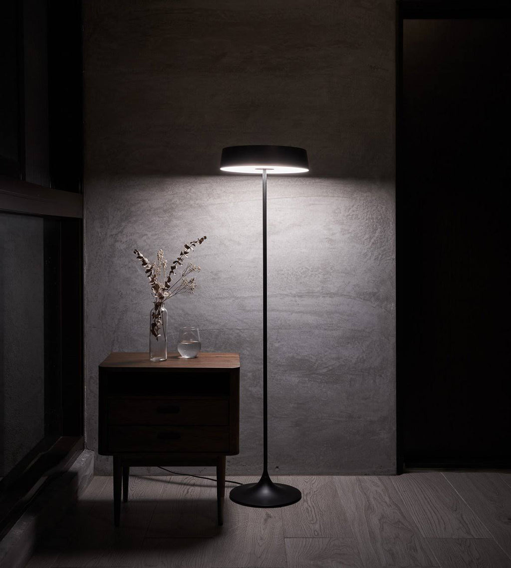 Matte Brass/Black LED Floor Lamp E300