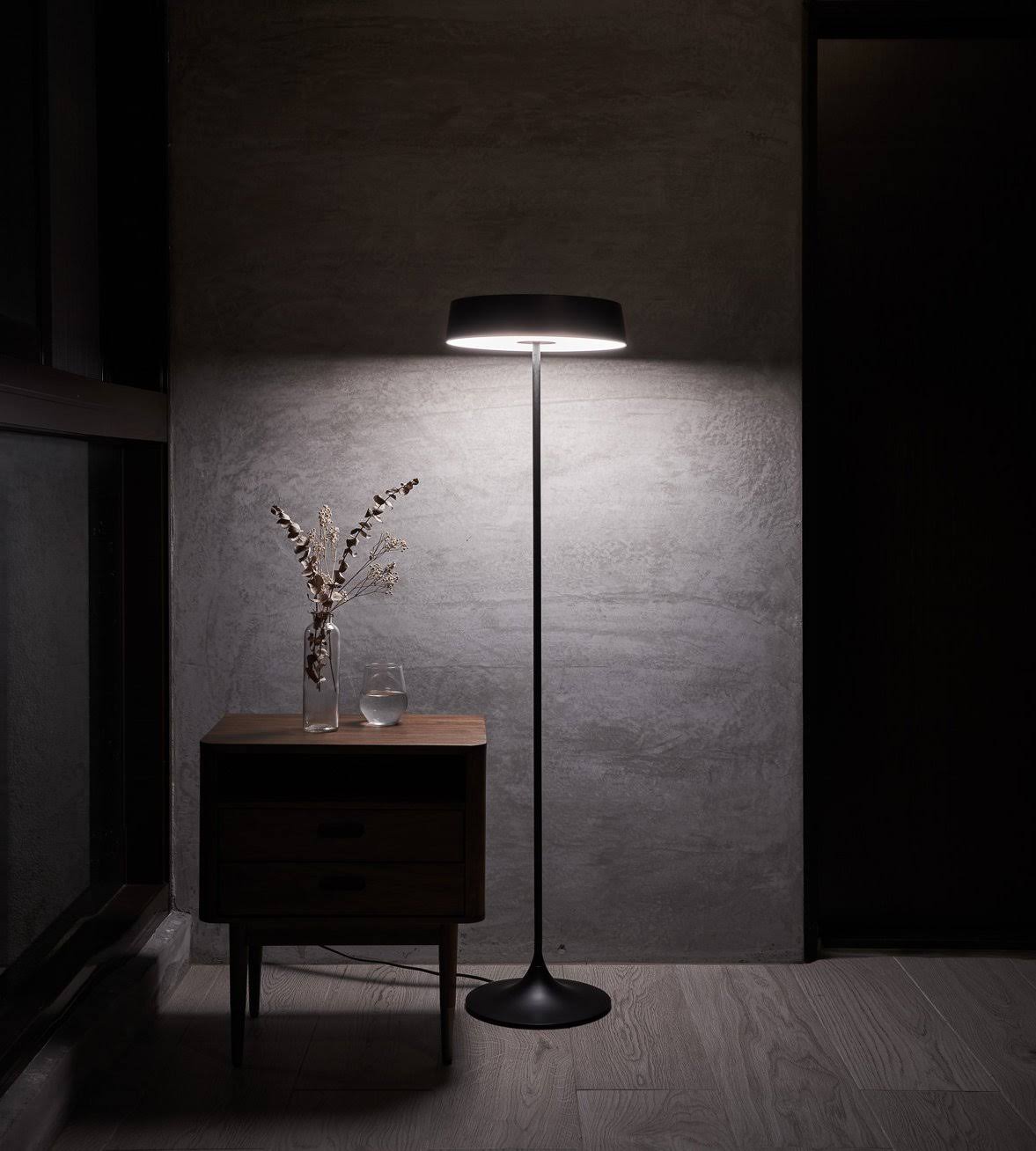 Matte Brass/Black LED Floor Lamp E300