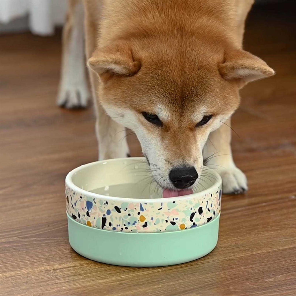 Flavorless Dental Rinse for Dogs P95440