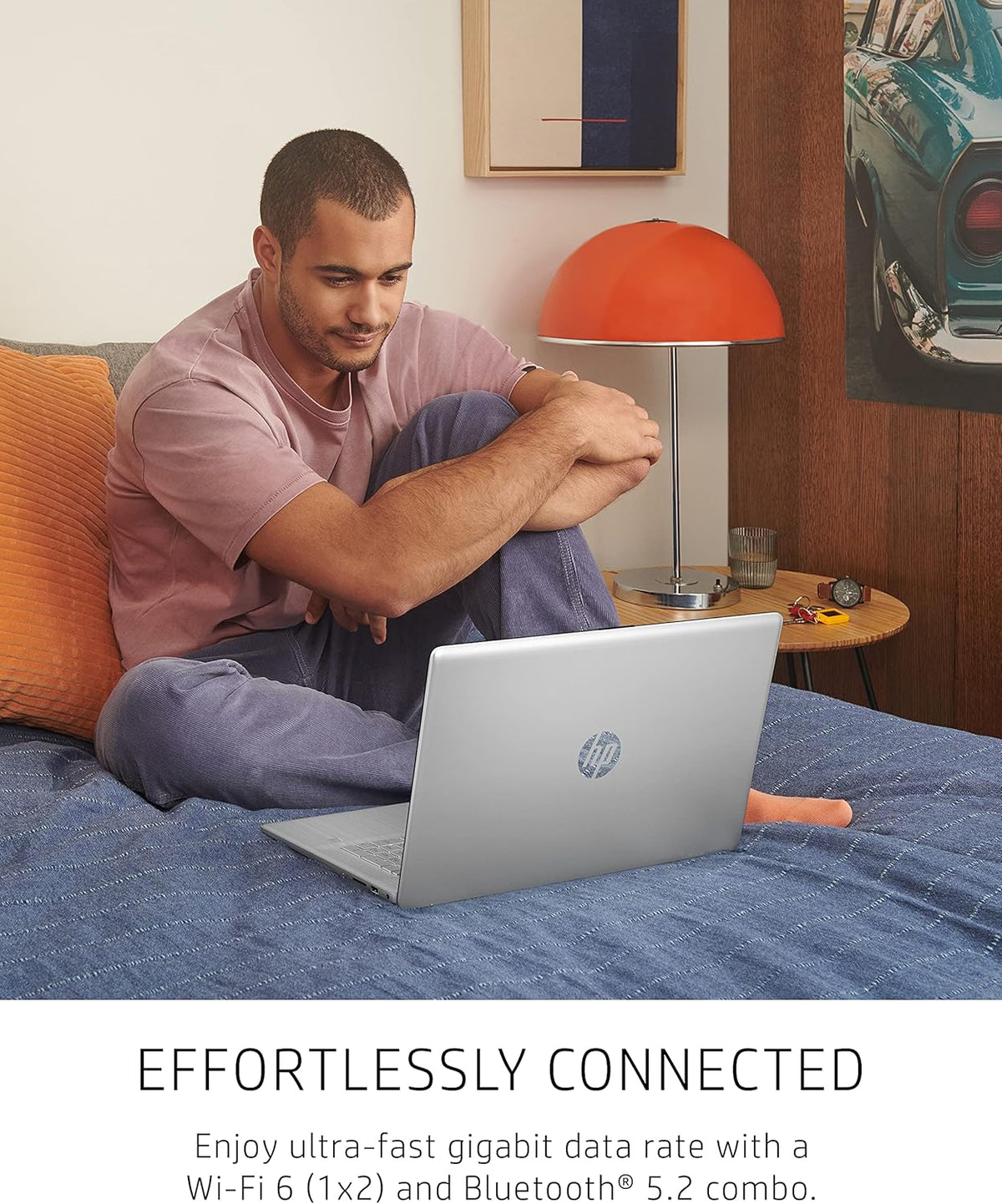17.3-inch HD+ Display Laptop D491