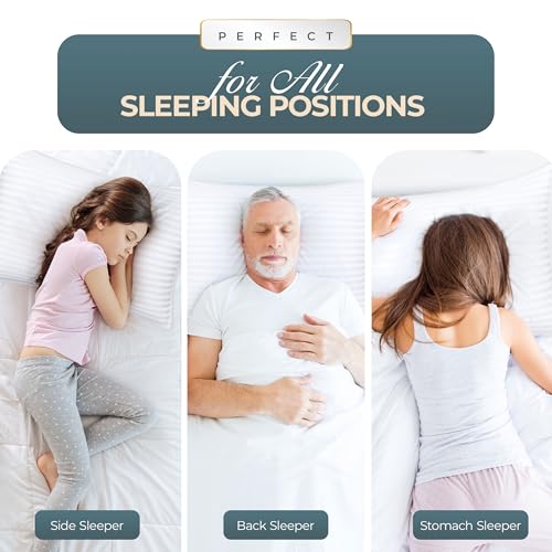 King Size White Set of 2 Bed Pillows H434809