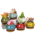 4 Inch Ceramic Plant Pots with Bamboo Tray, Pack of 6 Y972894