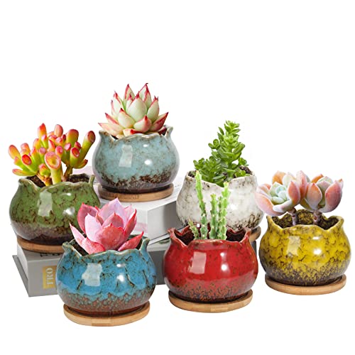 4 Inch Ceramic Plant Pots with Bamboo Tray, Pack of 6 Y972894