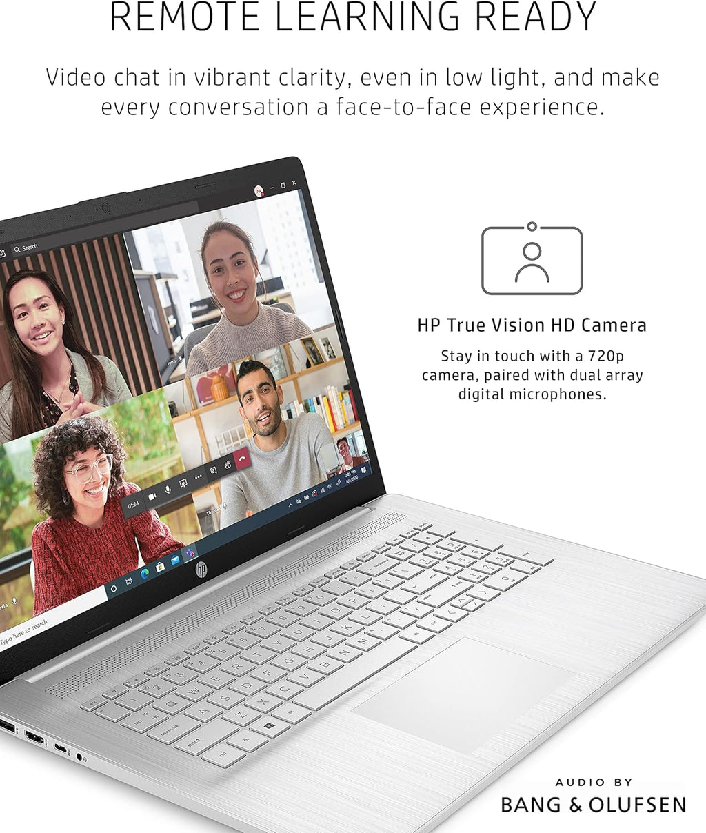 17.3-inch HD+ Display Laptop D491