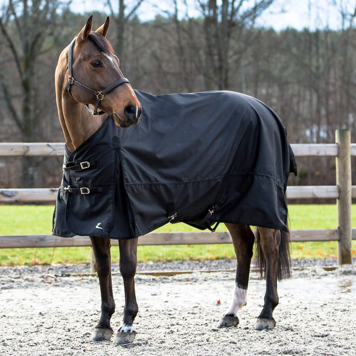 Black Lightweight Turnout Sheet E84105