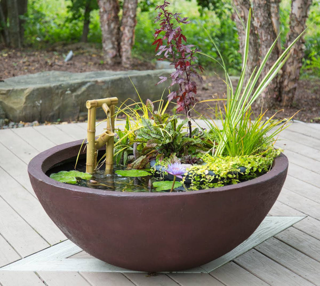 Aquatic Patio Pond Q733983