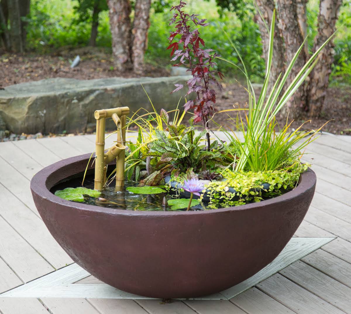 Aquatic Patio Pond Q733983