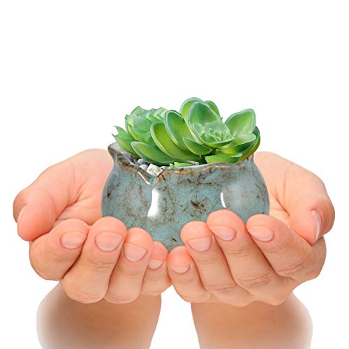 4 Inch Ceramic Plant Pots with Bamboo Tray, Pack of 6 Y972894