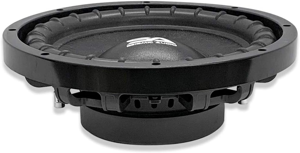10 Inch Dual 4 Ohm Car Audio Subwoofer L523976