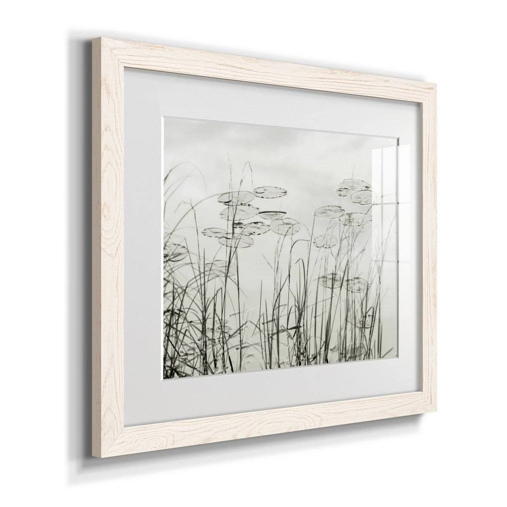 Maple Framed Print S285918