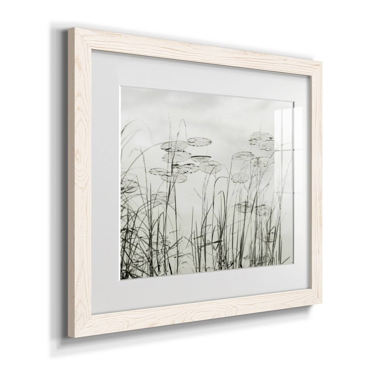 Maple Framed Print S285918