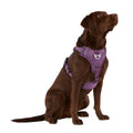 Neoprene Dog Harness G887819