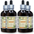 Dried Amber Resin Liquid Extract 4x4 oz S748713