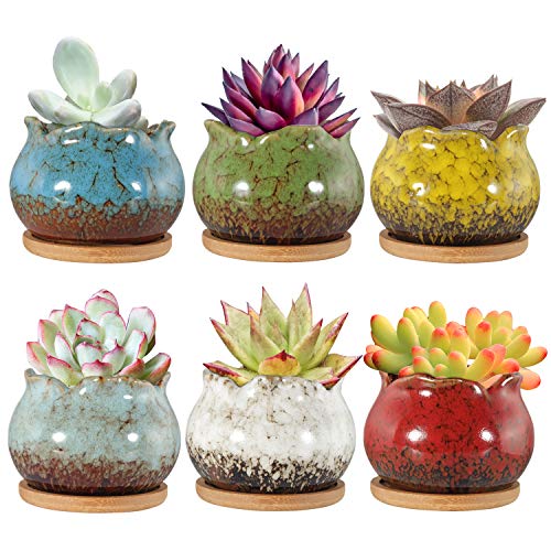 4 Inch Ceramic Plant Pots with Bamboo Tray, Pack of 6 Y972894
