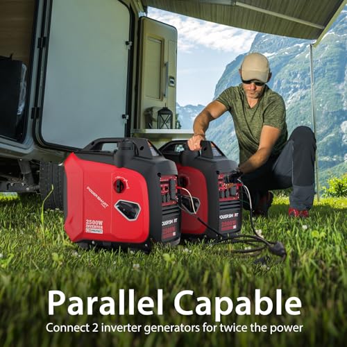 2500-Watt Portable Inverter Generator D871