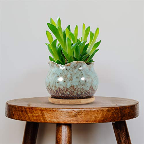4 Inch Ceramic Plant Pots with Bamboo Tray, Pack of 6 Y972894