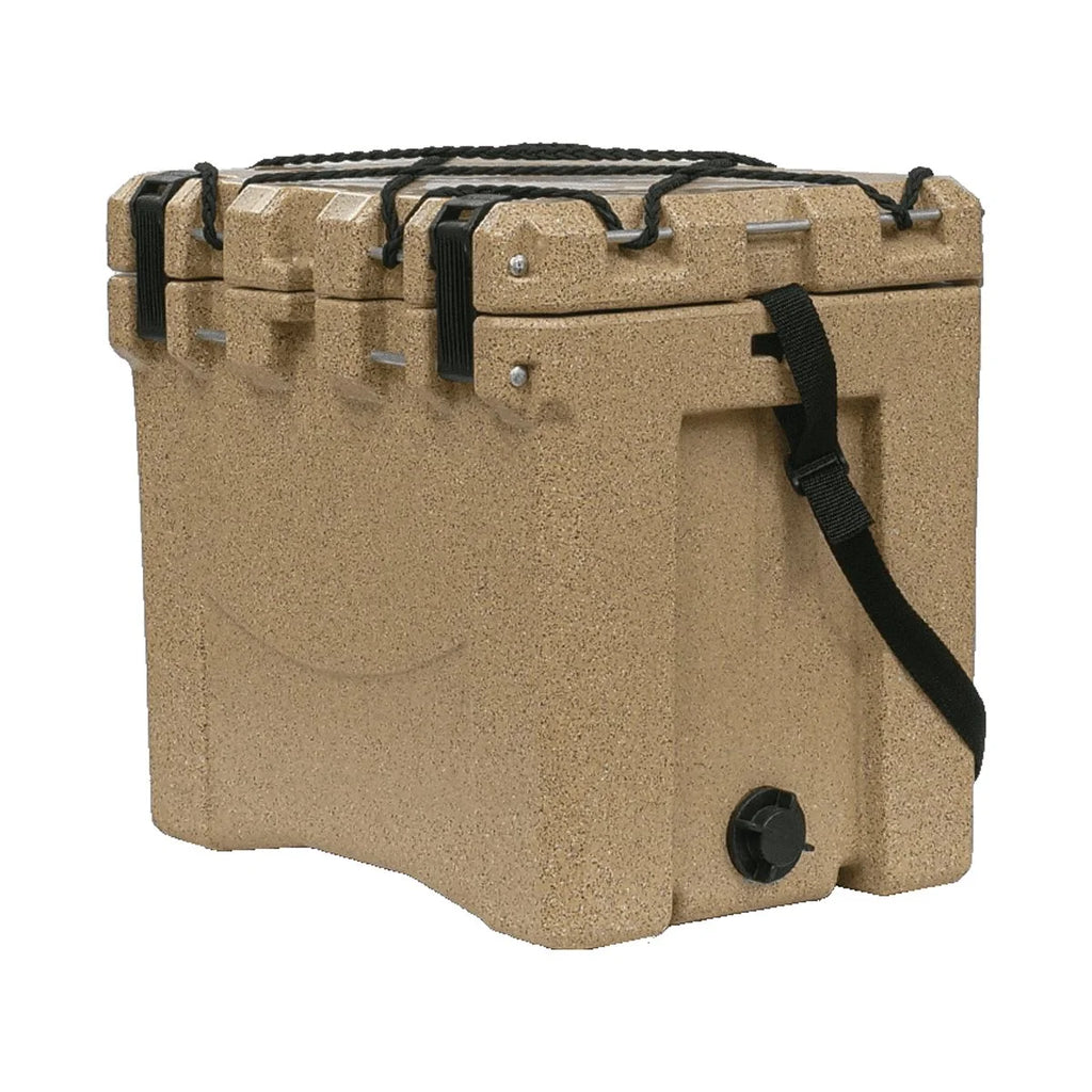 22 Quart Cooler C258415
