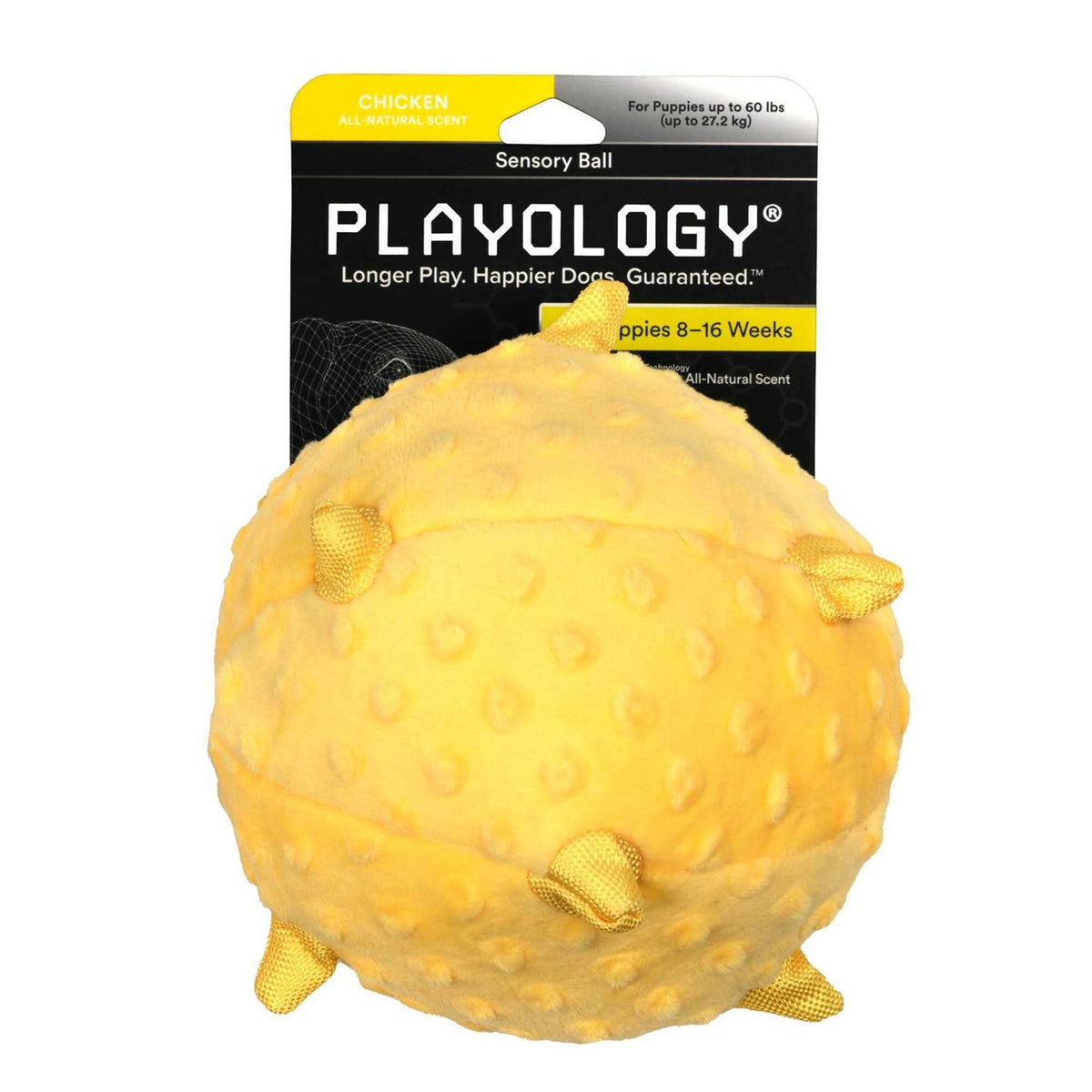 Sensory Ball Dog Toy K859976