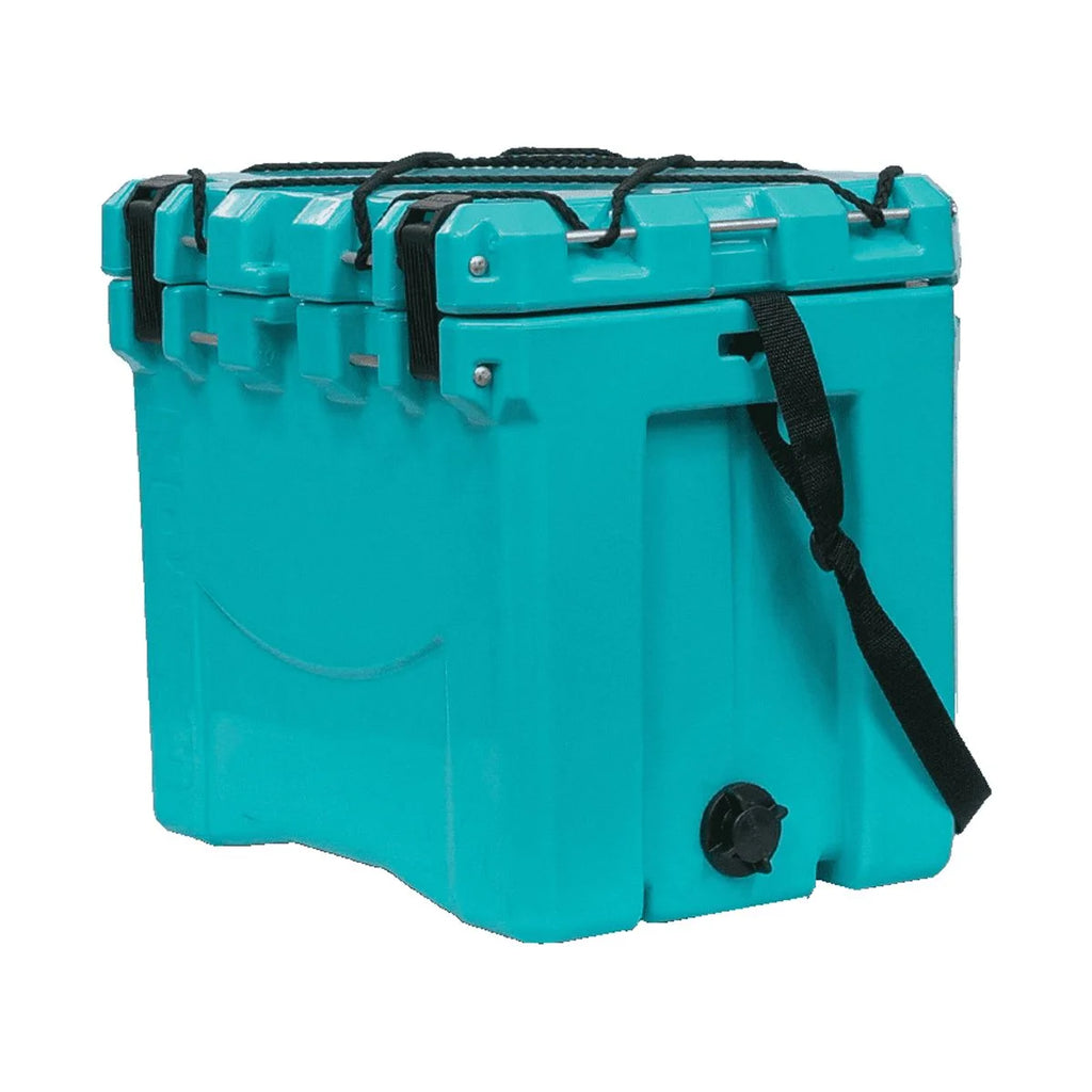 22 Quart Cooler C258415