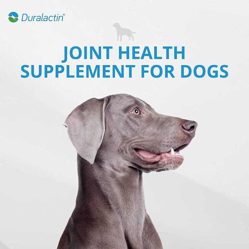 Canine 1000 mg O527