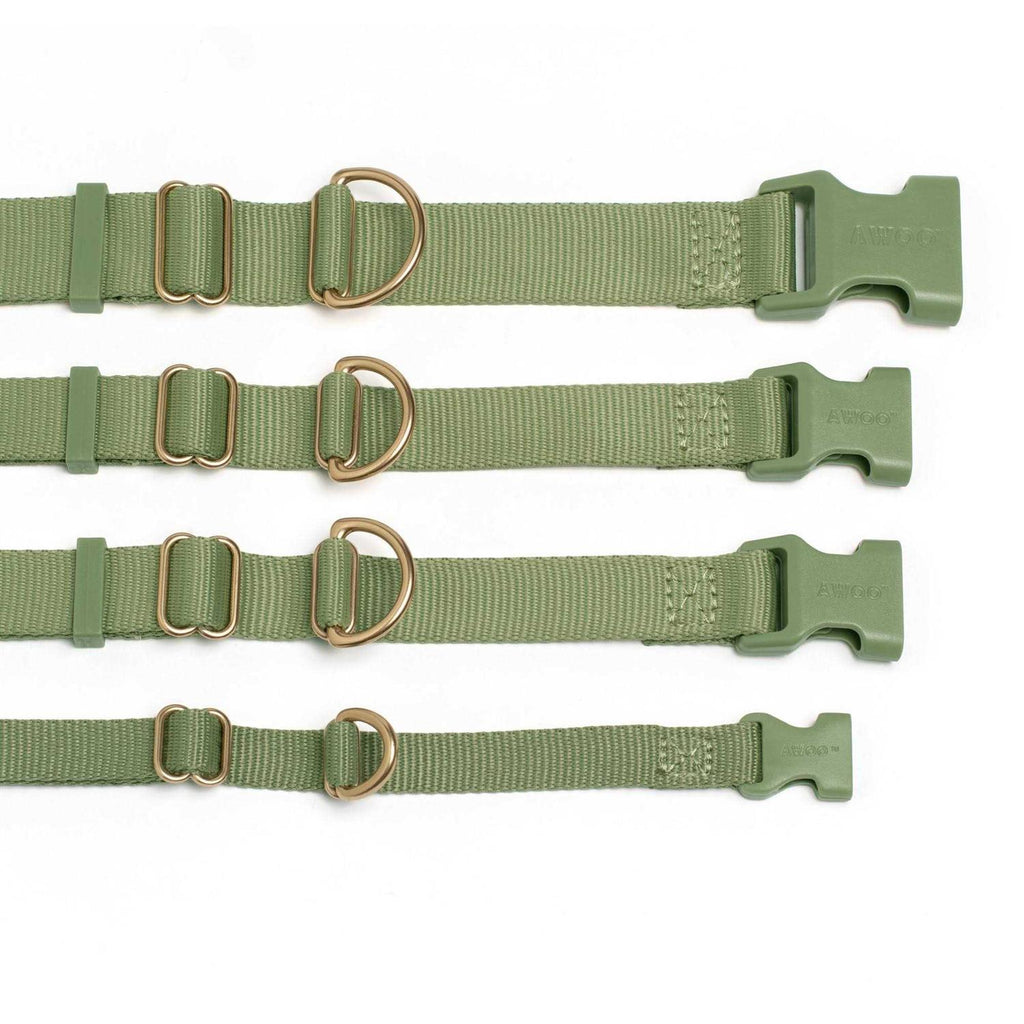 Standard Dog Collar R1943