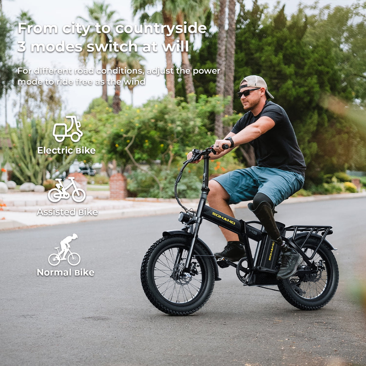 Foldable 20" Fat Tire Electric Bike with 750W Motor Y11482
