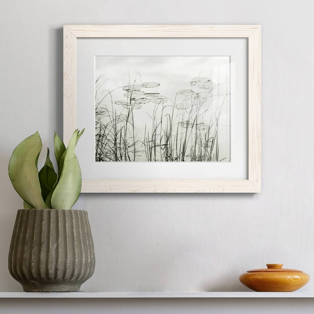 Maple Framed Print S285918