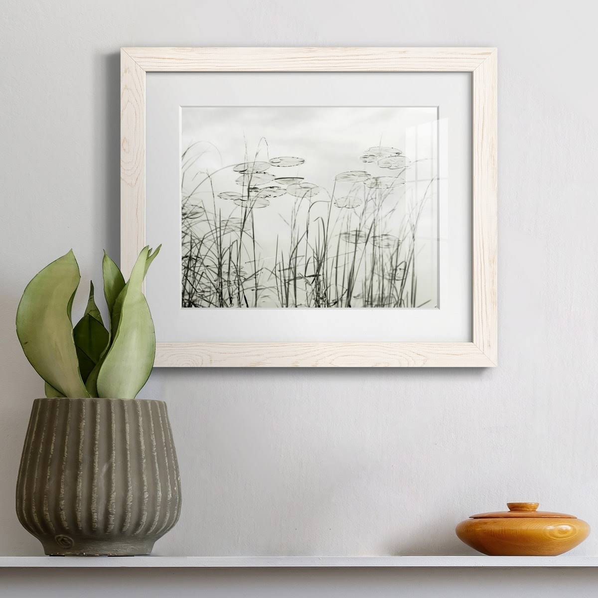Maple Framed Print S285918