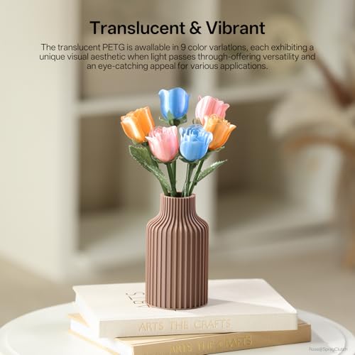 PETG Filament 1.75mm 3D Printer Filament 1KG Spool V8108