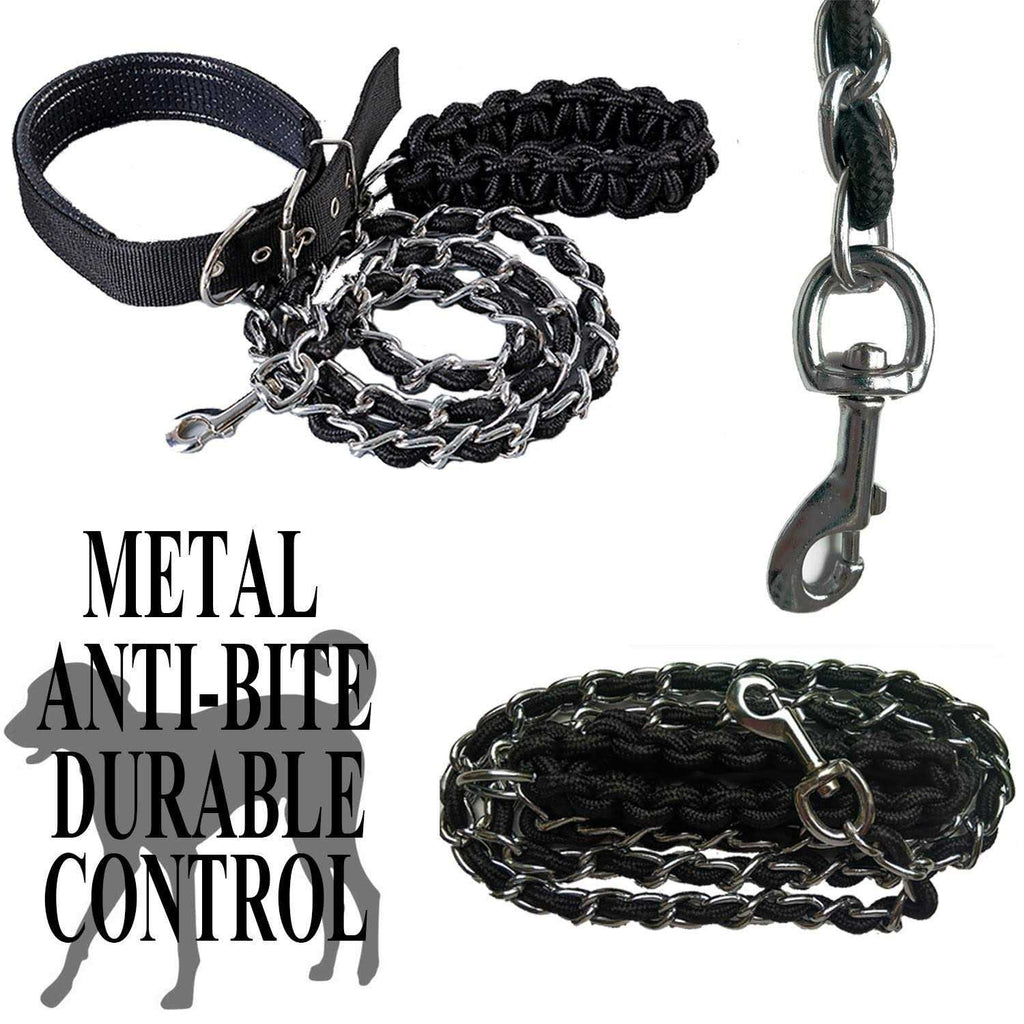 Heavy Duty Metal Dog Leash with Collar C385186