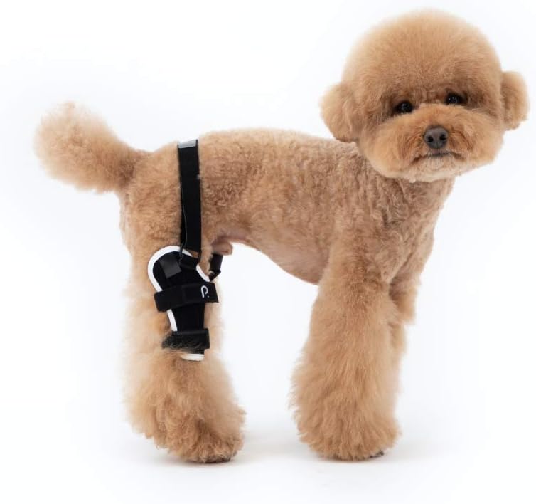 Neoprene Dog Knee Brace with Patella Tracker M262