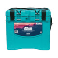 22 Quart Cooler C258415