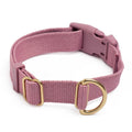 Standard Dog Collar R1943