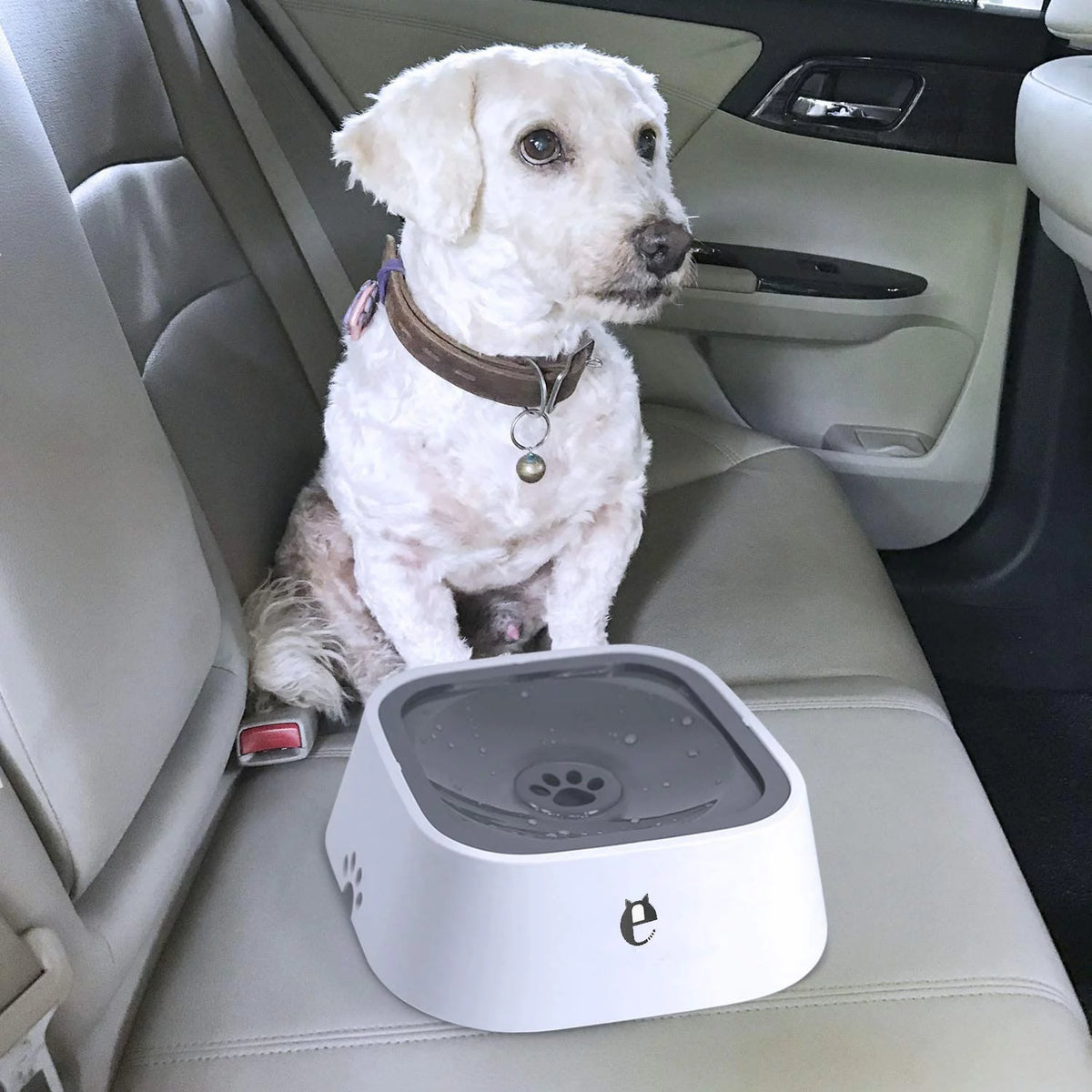 35OZ No-Spill Slow Water Feeder Dog Bowl GREY T7002