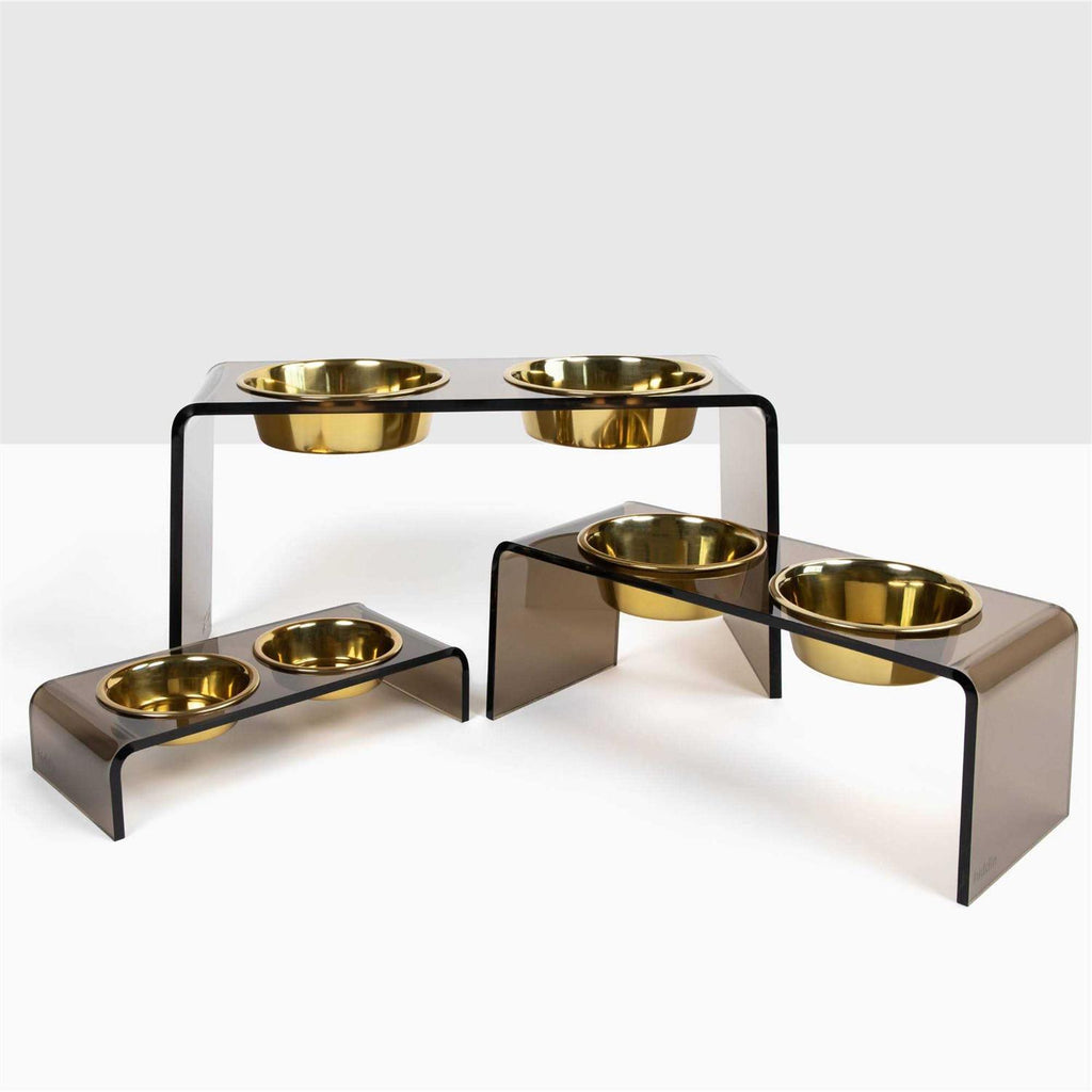 Acrylic Double Bowl Elevated Pet Feeder L234623