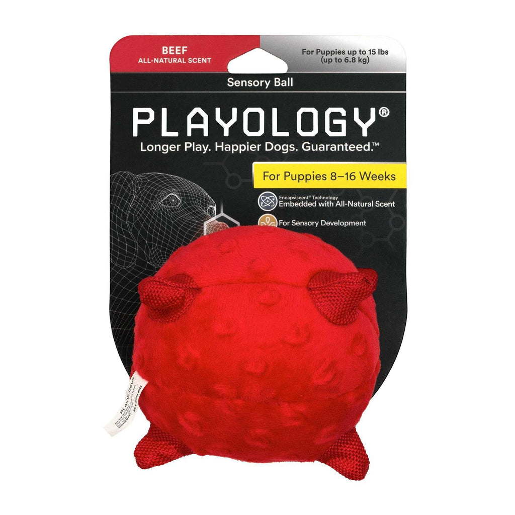 Sensory Ball Dog Toy K859976